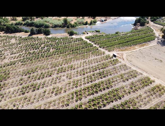16.70HA FARM FOR SALE IN PAARL RURAL